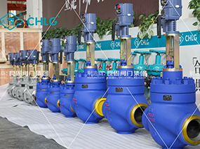 良固閥門開拓非洲能源新藍海，誠邀全球合作伙伴共襄綠色未來